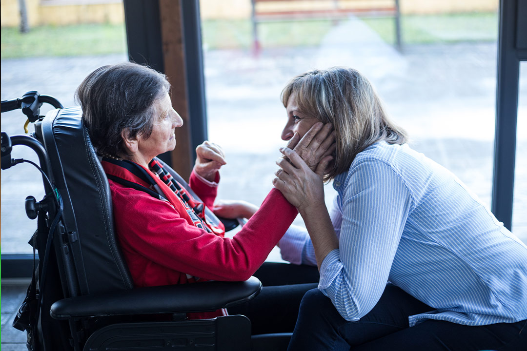 Diferente_Virgen_de_Valencia_01